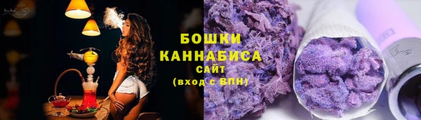 спайс Вяземский