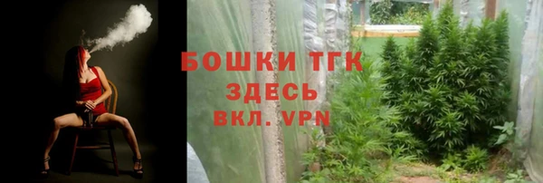 спайс Вяземский