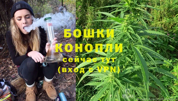 спайс Вяземский